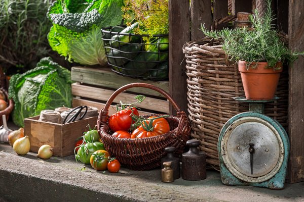 Comment organiser un festival de films documentaires indépendants dans votre ville ?