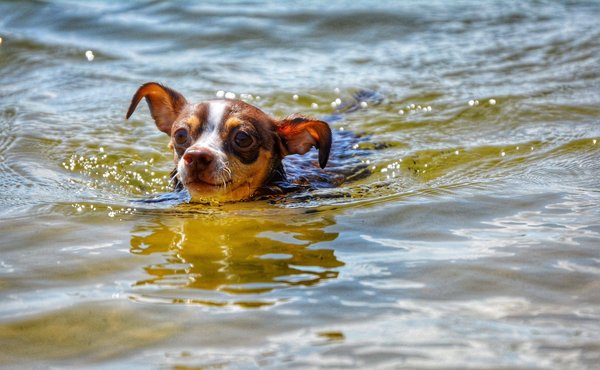 Quels sont les conseils pour débuter dans la photographie de paysage ?